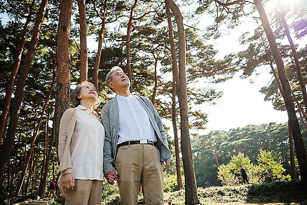 포토 JPG 주간 나무 부부 응시 공원 여자 노년 남자 가족 한국 서기 미소 상반신 야외 두명 앞모습 아웃포커스 손잡기 노부부 다정 산책 한국인 올려보기 가족라이프 60대 숲 안면도 부부라이프 노인만 국내포토 자연요소 식물 라이프스타일 커플 시선 공공시설 아시아 뷰포인트 컨셉 관계 모션 휴식 촬영기법 표정 사람 동양인 성인 충청남도 태안 성인만 파일형식