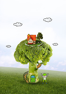 나무 구름 남자 음식 포토일러 주택 한명 잔디 모형 계단 자연보호 그린캠페인 브로콜리 에코 그린슈머 이미지편집 AI파일 자연요소 식물 편집이미지 1 캠페인 채소 자연 사람 건물 환경 보호 파일형식 벡터