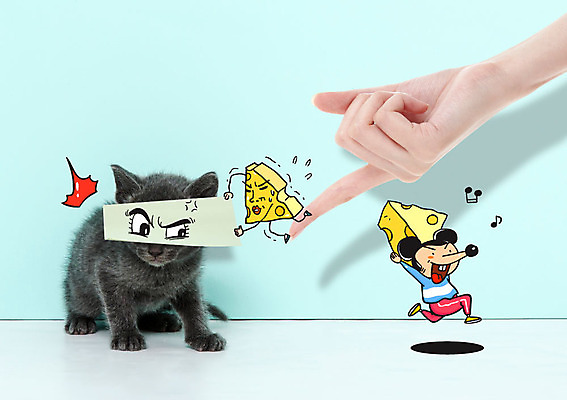 손 음식 포토일러 치즈 신체부위 고양이 쥐 절도 탈출 반려 이미지편집 AI파일 편집이미지 컨셉 포유류 유제품 사람 반려동물 범죄 설치류 파일형식 벡터