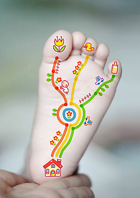 나무 꽃 길 자동차 포토일러 주택 오리 두명 울타리 육아 아기 젖병 발바닥 이미지편집 식물 편집이미지 육상교통 발 조류 사람 건물 담장 아기용품