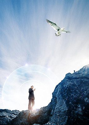 PSD 구름 편집 편집이미지 응시 남자 비즈니스 갈매기 하늘 한명 서기 20대 한국인 바위 비즈니스맨 4차산업 이미지편집 자연요소 1 시선 산업 모션 조류 사람 동양인 청년 돌_바위 직장인 파일형식