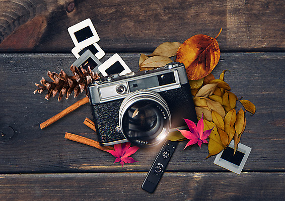 PSD 편집이미지 여행 단풍 낙엽 사람없음 카메라 가을 솔방울 슬라이드필름 시나몬스틱 플랫레이 이미지편집 계절 잎 전자제품 플랫 시나몬 파일형식