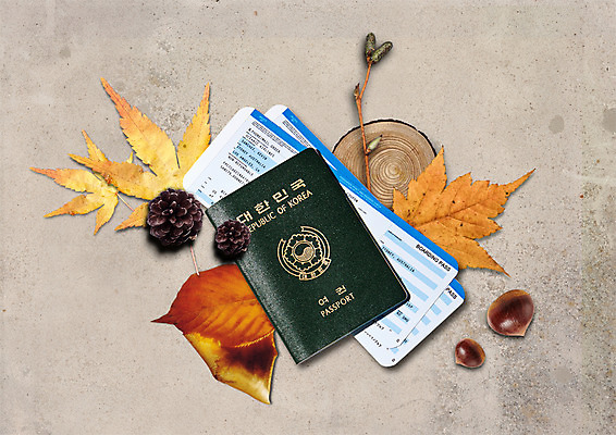 PSD 편집이미지 여행 단풍 낙엽 사람없음 가을 나뭇가지 밤 항공권 여권 솔방울 플랫레이 이미지편집 나무 계절 잎 견과류 티켓 플랫 파일형식