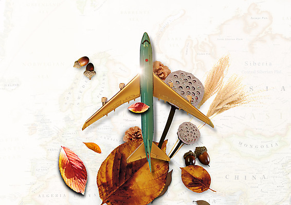 PSD 편집이미지 여행 낙엽 세계지도 비행기 갈대 사람없음 가을 도토리 솔방울 비행기모형 이미지편집 식물 계절 잎 지도 항공교통 대중교통 세계 모형 견과류 파일형식