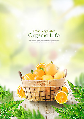 PSD 편집이미지 음식 오렌지 나뭇잎 사람없음 바구니 물방울 신선 유기농 이미지편집 웰빙 잎 과일 파일형식