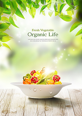 PSD 편집이미지 접시 음식 피망 나뭇잎 사람없음 물방울 신선 유기농 청경채 이미지편집 식기 웰빙 잎 채소 파일형식