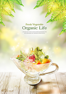 PSD 편집이미지 그릇 음식 양파 피망 나뭇잎 사람없음 샐러드 물방울 신선 유기농 이미지편집 식기 웰빙 잎 채소 파일형식