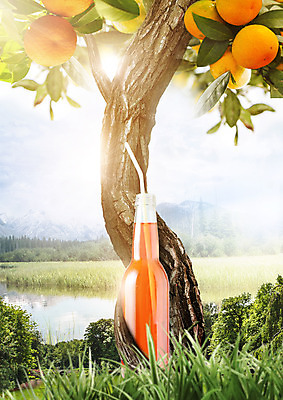 PSD 나무 구름 편집이미지 열매 음료 하늘 귤 빨대 사람없음 유기농 음료수병 이미지편집 자연요소 식물 웰빙 과일 병_담는 파일형식