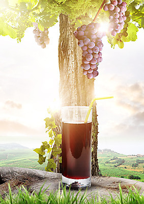 PSD 나무 구름 편집이미지 열매 하늘 포도 잔 빨대 사람없음 유기농 포도주스 이미지편집 자연요소 식물 식기 웰빙 과일 과일주스 파일형식