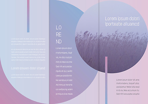 템플릿 편집 표지디자인 북디자인 출판디자인 내지 리플렛 북커버 3단접지 자연 갈대 팜플렛 사람없음 갈대밭 이미지템플릿 AI파일 식물 생태계 파일형식 벡터 갈대_식물