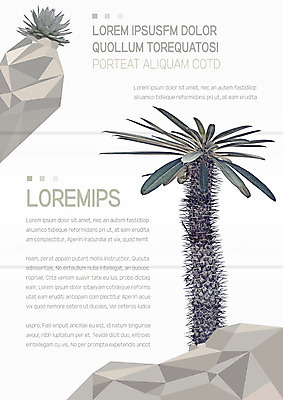 템플릿 편집 표지디자인 북디자인 출판디자인 내지 리플렛 북커버 3단접지 자연 선인장 팜플렛 사람없음 다육식물 이미지템플릿 AI파일 식물 생태계 파일형식 벡터