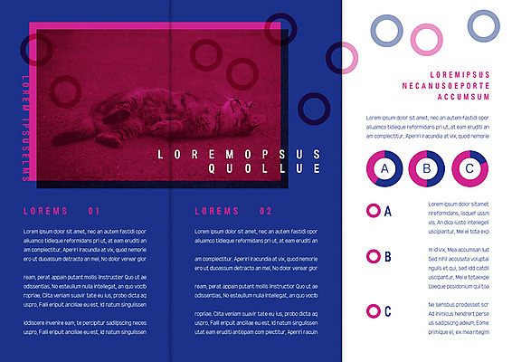 템플릿 편집 한마리 표지디자인 북디자인 출판디자인 내지 리플렛 북커버 3단접지 자연 팜플렛 사람없음 눕기 고양이 반려 이미지템플릿 AI파일 1 포유류 모션 반려동물 생태계 파일형식 벡터
