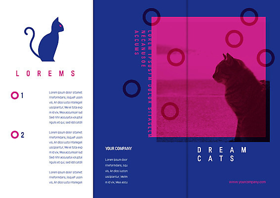 템플릿 편집 표지디자인 북디자인 출판디자인 표지 리플렛 두마리 북커버 3단접지 자연 팜플렛 사람없음 고양이 반려 이미지템플릿 AI파일 2 포유류 반려동물 생태계 파일형식 벡터