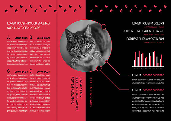 템플릿 편집 한마리 표지디자인 북디자인 출판디자인 내지 리플렛 북커버 3단접지 자연 그래프 팜플렛 사람없음 고양이 반려 이미지템플릿 AI파일 1 포유류 반려동물 생태계 파일형식 벡터