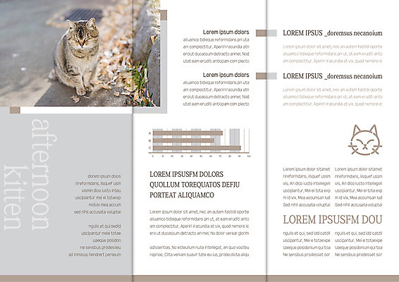 템플릿 편집 한마리 표지디자인 북디자인 출판디자인 내지 리플렛 북커버 3단접지 자연 그래프 팜플렛 사람없음 고양이 반려 이미지템플릿 AI파일 1 포유류 반려동물 생태계 파일형식 벡터