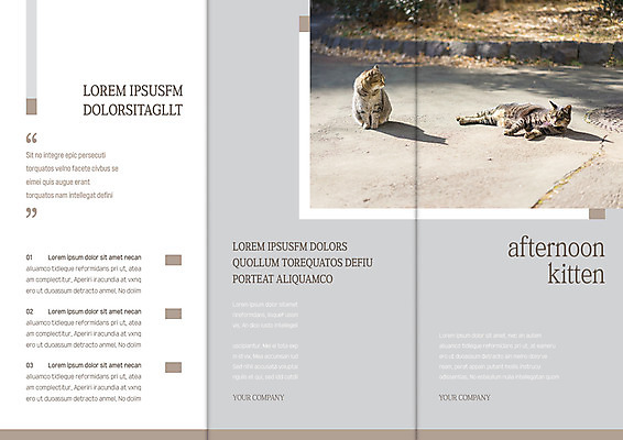 템플릿 편집 표지디자인 북디자인 출판디자인 표지 리플렛 두마리 북커버 3단접지 자연 팜플렛 사람없음 고양이 반려 이미지템플릿 AI파일 2 포유류 반려동물 생태계 파일형식 벡터