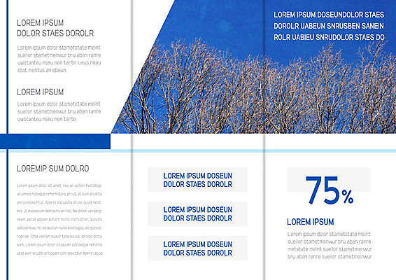 나무 템플릿 편집 표지디자인 북디자인 출판디자인 내지 리플렛 북커버 3단접지 자연 하늘 팜플렛 사람없음 이미지템플릿 AI파일 식물 생태계 파일형식 벡터