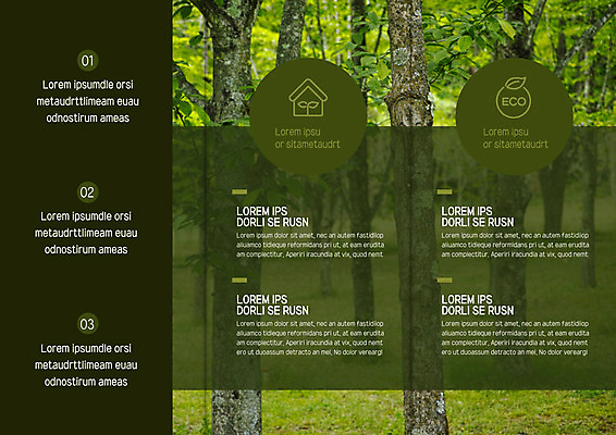 나무 템플릿 편집 표지디자인 북디자인 출판디자인 내지 리플렛 북커버 3단접지 자연 팜플렛 사람없음 숲 에코 이미지템플릿 AI파일 식물 환경 생태계 파일형식 벡터