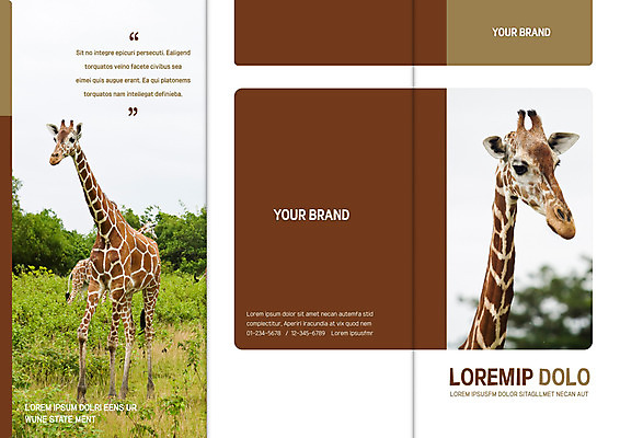 템플릿 편집 표지디자인 북디자인 출판디자인 표지 야생동물 리플렛 북커버 3단접지 자연 세마리 팜플렛 사람없음 기린 이미지템플릿 AI파일 동물 포유류 3 생태계 파일형식 벡터