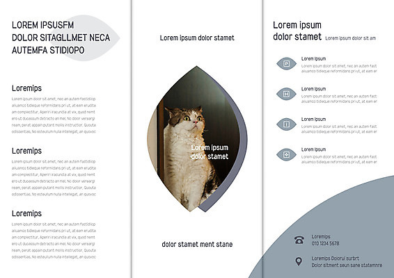 템플릿 편집 한마리 표지디자인 북디자인 출판디자인 내지 리플렛 북커버 3단접지 자연 팜플렛 사람없음 고양이 반려 이미지템플릿 AI파일 1 포유류 반려동물 생태계 파일형식 벡터