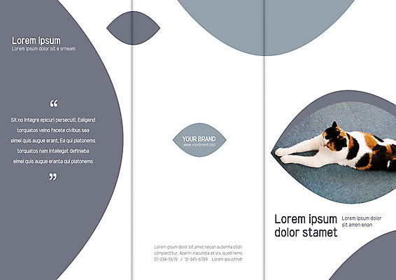 템플릿 편집 한마리 표지디자인 북디자인 출판디자인 표지 리플렛 북커버 3단접지 자연 팜플렛 사람없음 고양이 반려 이미지템플릿 AI파일 1 포유류 반려동물 생태계 파일형식 벡터