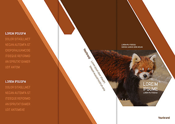 템플릿 편집 한마리 표지디자인 북디자인 출판디자인 표지 야생동물 리플렛 북커버 3단접지 자연 팜플렛 사람없음 이미지템플릿 AI파일 동물 1 생태계 파일형식 벡터