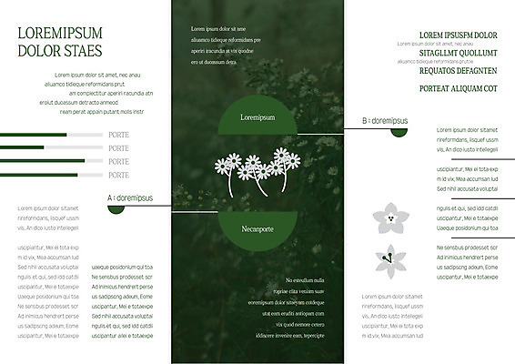 템플릿 편집 표지디자인 북디자인 출판디자인 꽃 내지 리플렛 북커버 3단접지 자연 팜플렛 사람없음 이미지템플릿 AI파일 식물 생태계 파일형식 벡터