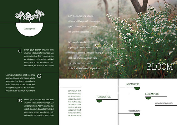 템플릿 편집 표지디자인 북디자인 출판디자인 표지 꽃 리플렛 북커버 3단접지 자연 팜플렛 사람없음 이미지템플릿 AI파일 식물 생태계 파일형식 벡터