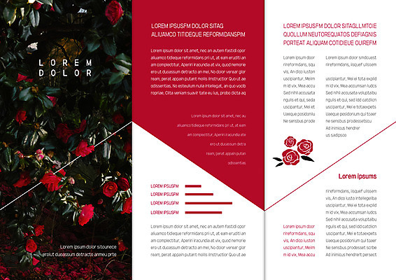 템플릿 편집 표지디자인 북디자인 출판디자인 꽃 내지 리플렛 북커버 3단접지 자연 팜플렛 사람없음 빨간색 장미 이미지템플릿 AI파일 식물 컬러 생태계 파일형식 벡터