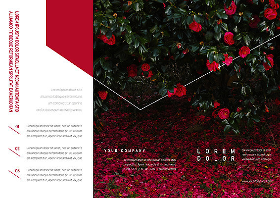 템플릿 편집 표지디자인 북디자인 출판디자인 표지 꽃 리플렛 북커버 3단접지 자연 팜플렛 사람없음 빨간색 장미 이미지템플릿 AI파일 식물 컬러 생태계 파일형식 벡터