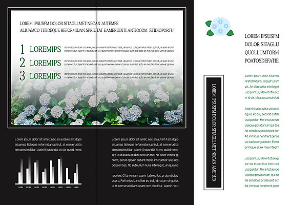 템플릿 편집 표지디자인 북디자인 출판디자인 꽃 내지 리플렛 북커버 3단접지 자연 그래프 팜플렛 사람없음 수국 이미지템플릿 AI파일 식물 생태계 파일형식 벡터