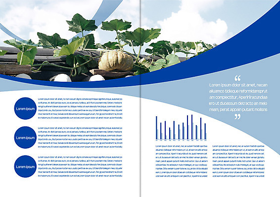 구름 템플릿 편집 한국전통 표지디자인 북디자인 출판디자인 내지 리플렛 북커버 하늘 호박 그래프 기와집 팜플렛 사람없음 덩굴 호박잎 이미지템플릿 AI파일 자연요소 식물 전통 잎 채소 한옥 한국 파일형식 벡터