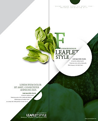 PSD 템플릿 편집 표지디자인 북디자인 출판디자인 표지 음식 리플렛 2단접지 북커버 호박 팜플렛 사람없음 신선 유기농 청경채 이미지템플릿 웰빙 채소 파일형식