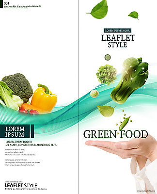 PSD 템플릿 편집 표지디자인 북디자인 손 출판디자인 표지 리플렛 토마토 2단접지 북커버 피망 나뭇잎 한손 한명 팜플렛 신체부위 당근 신선 브로콜리 유기농 청경채 이미지템플릿 1 웰빙 잎 채소 뿌리채소 사람 파일형식