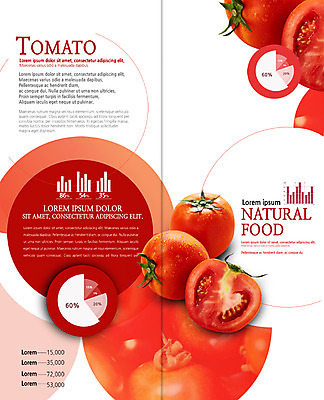 PSD 템플릿 편집 표지디자인 북디자인 출판디자인 내지 음식 리플렛 토마토 2단접지 북커버 단면 그래프 팜플렛 사람없음 신선 이미지템플릿 채소 파일형식