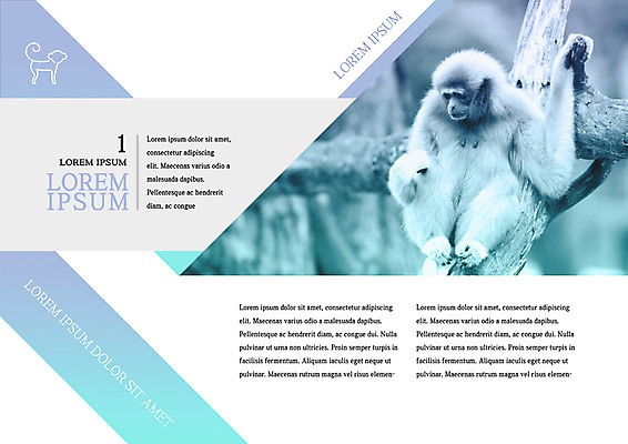 PSD 템플릿 편집 한마리 표지디자인 북디자인 출판디자인 내지 야생동물 리플렛 북커버 자연 동물원 팜플렛 사람없음 원숭이 이미지템플릿 동물 1 포유류 생태계 파일형식