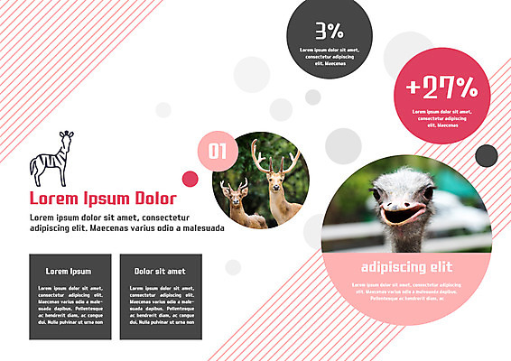 PSD 템플릿 편집 표지디자인 북디자인 출판디자인 내지 리플렛 북커버 자연 사슴 동물원 팜플렛 사람없음 얼룩말 타조 이미지템플릿 포유류 조류 말_동물 생태계 파일형식