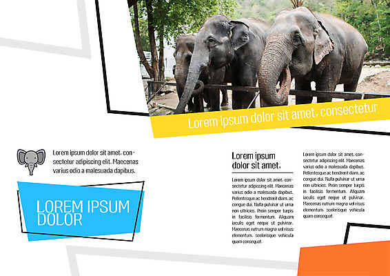 PSD 템플릿 편집 표지디자인 북디자인 출판디자인 내지 야생동물 리플렛 북커버 자연 코끼리 동물원 팜플렛 사람없음 이미지템플릿 동물 포유류 생태계 파일형식