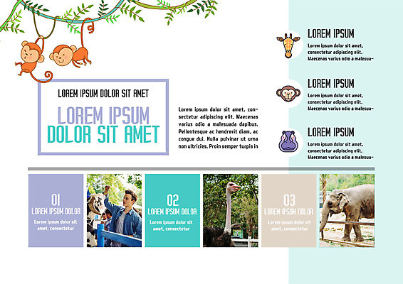 PSD 서양인 템플릿 편집 표지디자인 북디자인 출판디자인 남자 내지 리플렛 북커버 자연 코끼리 동물원 팜플렛 20대 성인 원숭이 먹이 산양 타조 이미지템플릿 외국인 포유류 조류 사람 청년 양 생태계 멸종위기동물 파일형식