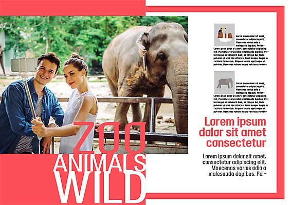 PSD 서양인 템플릿 편집 표지디자인 북디자인 커플 출판디자인 여자 남자 내지 리플렛 북커버 자연 코끼리 동물원 웃음 팜플렛 20대 성인 두명 셀프카메라 셀카봉 이미지템플릿 외국인 포유류 관계 표정 사람 청년 사진촬영 생태계 파일형식