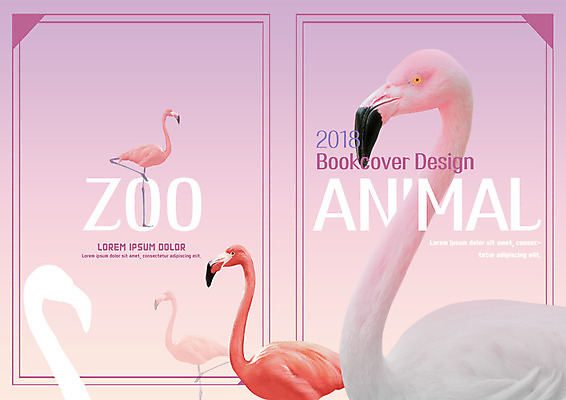 PSD 템플릿 편집 표지디자인 북디자인 출판디자인 표지 야생동물 리플렛 북커버 여러마리 자연 동물원 팜플렛 사람없음 플라밍고 이미지템플릿 동물 다수 조류 생태계 파일형식