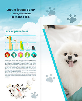 PSD 구름 템플릿 편집 표지디자인 북디자인 출판디자인 내지 리플렛 2단접지 북커버 하늘 그래프 팜플렛 사람없음 반려동물 고양이 개 메롱 개발자국 개뼈다귀 반려 포메라니안 이미지템플릿 자연요소 동물 포유류 모션 발자국 애견간식 파일형식