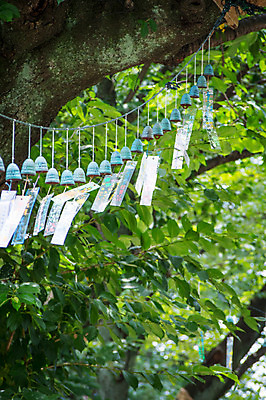 포토 JPG 주간 나무 일본문화 풍경 사람없음 야외 아웃포커스 장식 종 오브젝트 걸림 후우링 국내포토 자연요소 식물 동양문화 외국문화 모션 촬영기법 일본전통 파일형식