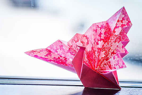 포토 JPG 실내 풍경 사람없음 아웃포커스 오브젝트 종이접기 종이학 국내포토 종이 촬영기법 내부 접기 파일형식