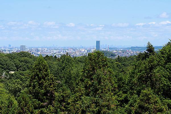 포토 JPG 주간 나무 구름 자연 하늘 풍경 빌딩 사람없음 야외 도시 숲 국내포토 자연요소 식물 건물 생태계 파일형식