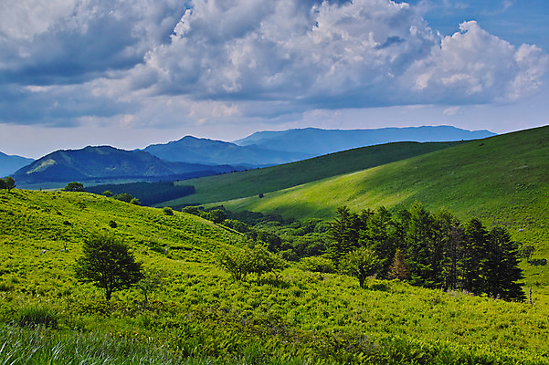 포토 JPG 주간 나무 구름 자연 하늘 산 풍경 사람없음 야외 언덕 국내포토 자연요소 식물 생태계 파일형식