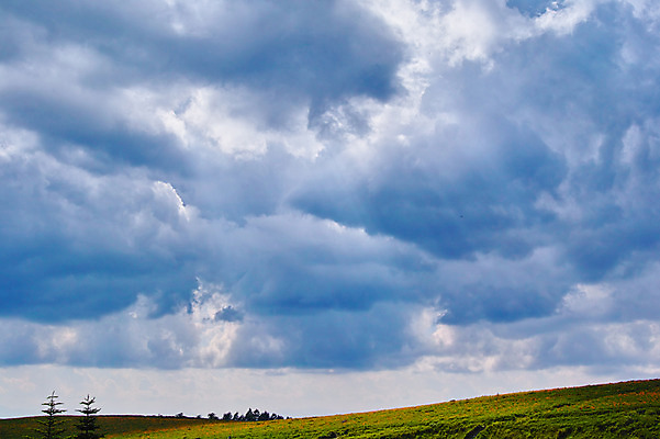 포토 JPG 주간 나무 구름 자연 하늘 풍경 사람없음 야외 목초지 국내포토 자연요소 식물 목장 생태계 파일형식 초원_자연