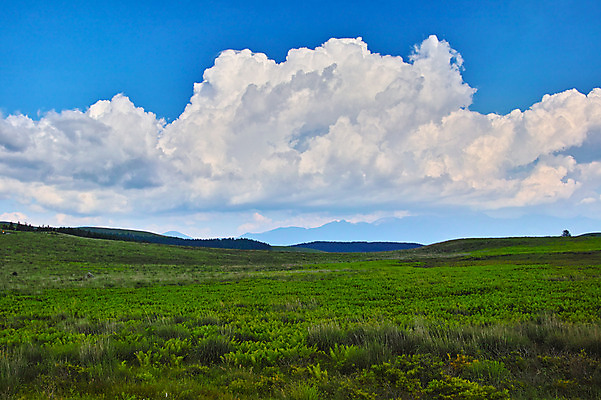 포토 JPG 주간 구름 자연 하늘 풍경 사람없음 야외 맑음 목초지 국내포토 자연요소 날씨 목장 생태계 파일형식 초원_자연