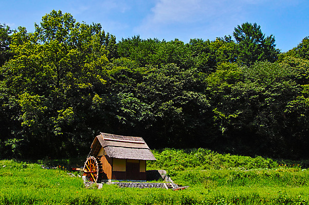 포토 JPG 주간 나무 구름 자연 하늘 초가집 풍경 사람없음 야외 농경지 숲 물레방아 국내포토 자연요소 식물 한옥 농장 생태계 파일형식