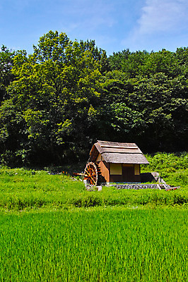 포토 JPG 주간 나무 구름 자연 하늘 초가집 풍경 사람없음 야외 농경지 숲 물레방아 국내포토 자연요소 식물 한옥 농장 생태계 파일형식